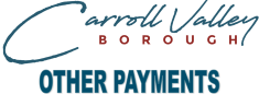 OTHER PAYMENTS