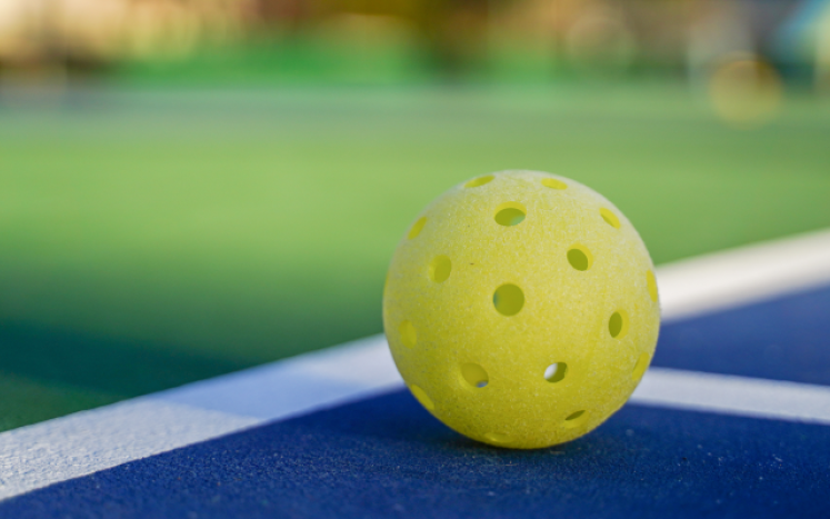 image of pickleball